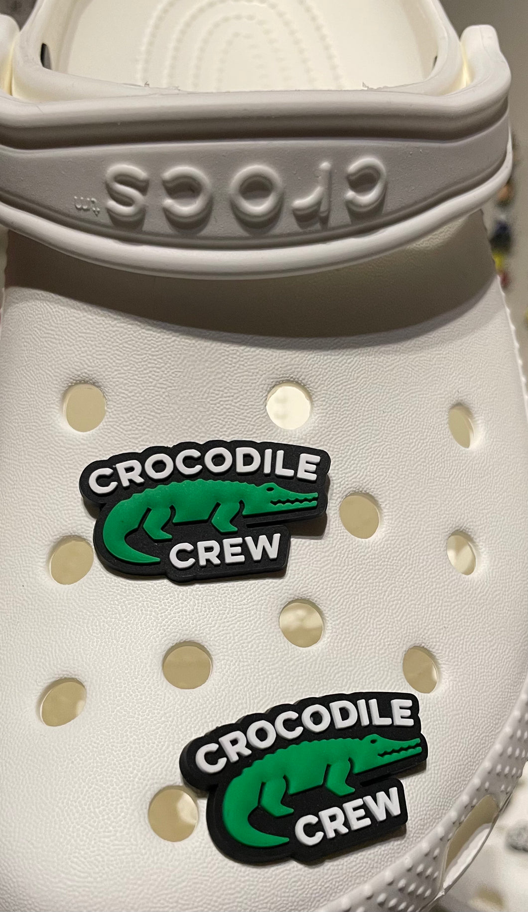 Crocodile Crew